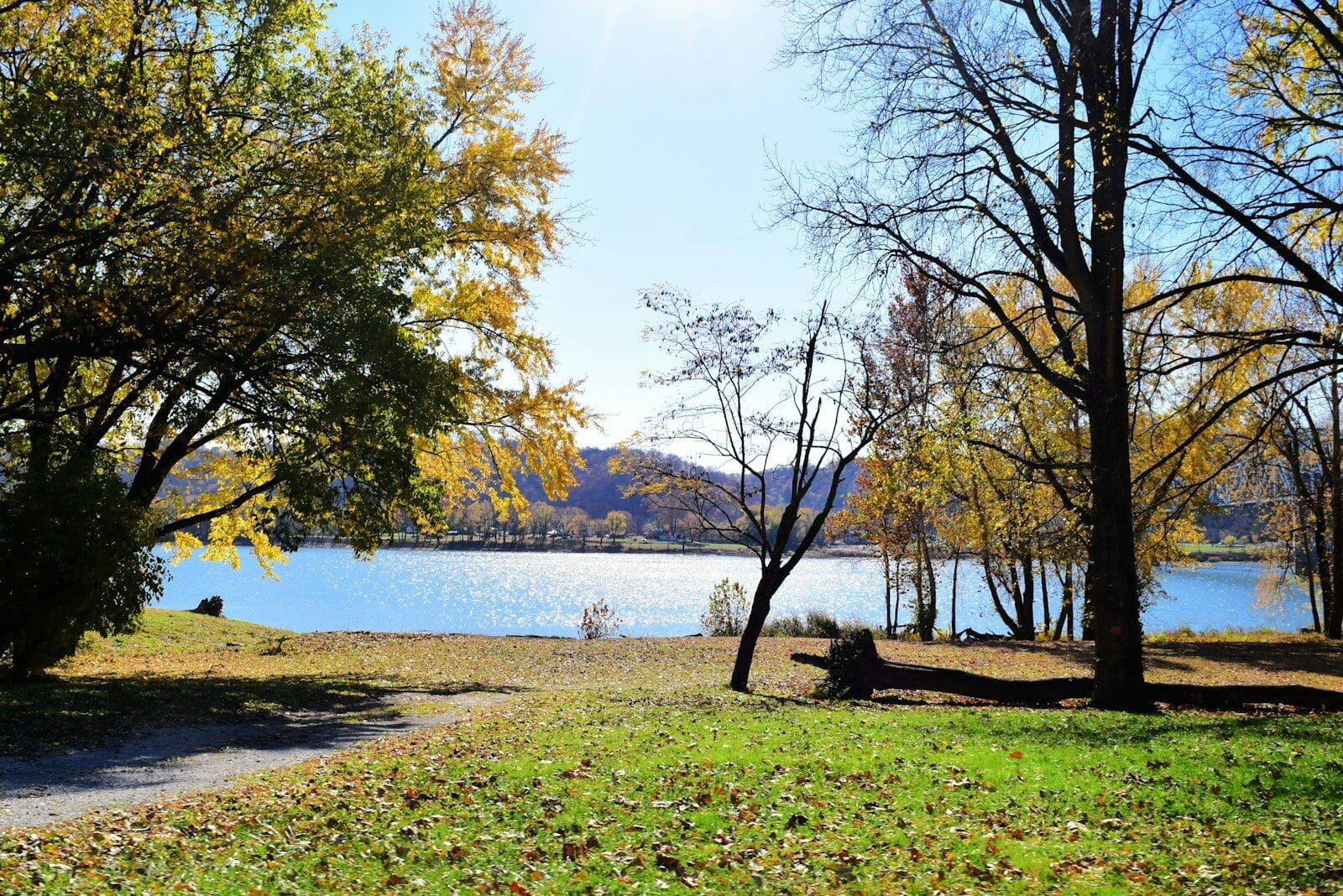 A view of a lake through some trees